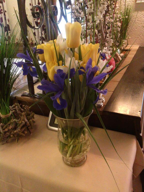 Gasthuis - Blume 3*